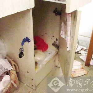 手机彩票软件它可以让你通过手机就能购买到双色球、3D等